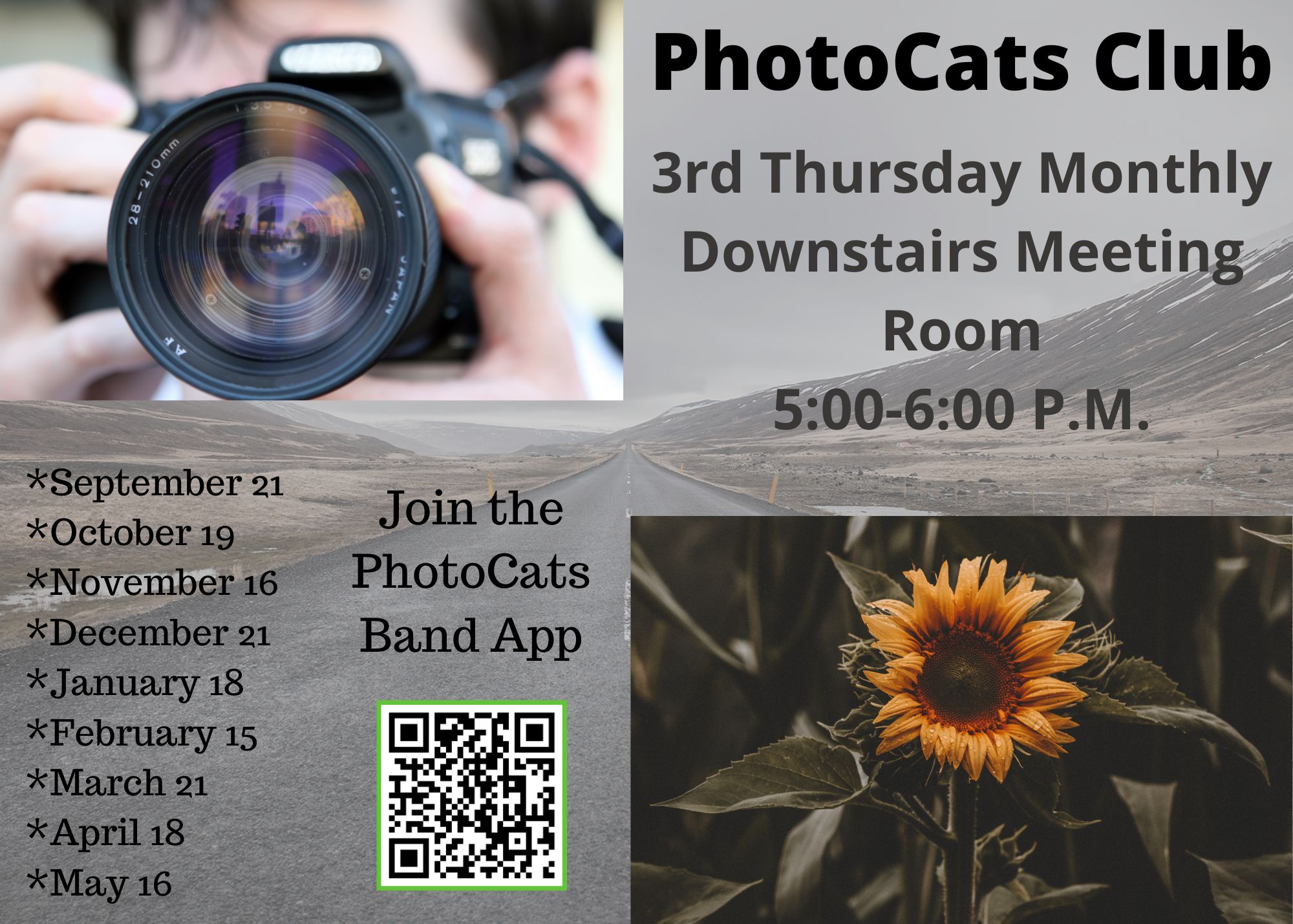 Photo Cats Schedule